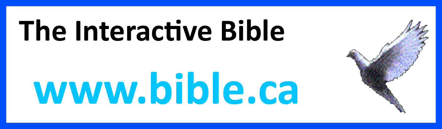 THE INTERACTIVE BIBLE